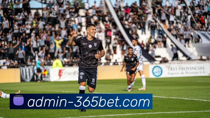 App Interface Preview